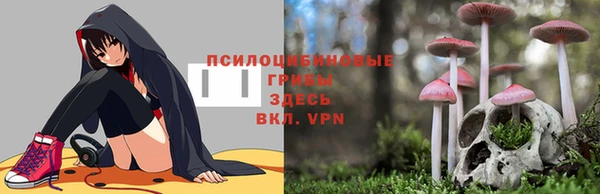 ALPHA-PVP Мегион