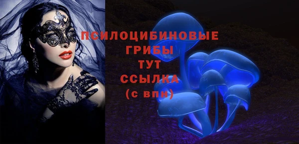 таблы Медногорск