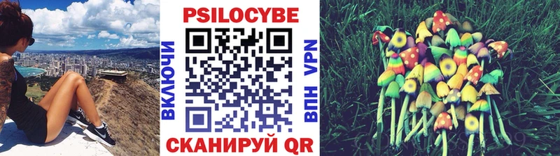 Псилоцибиновые грибы MAGIC MUSHROOMS  ссылка на мегу ссылки  Благовещенск 